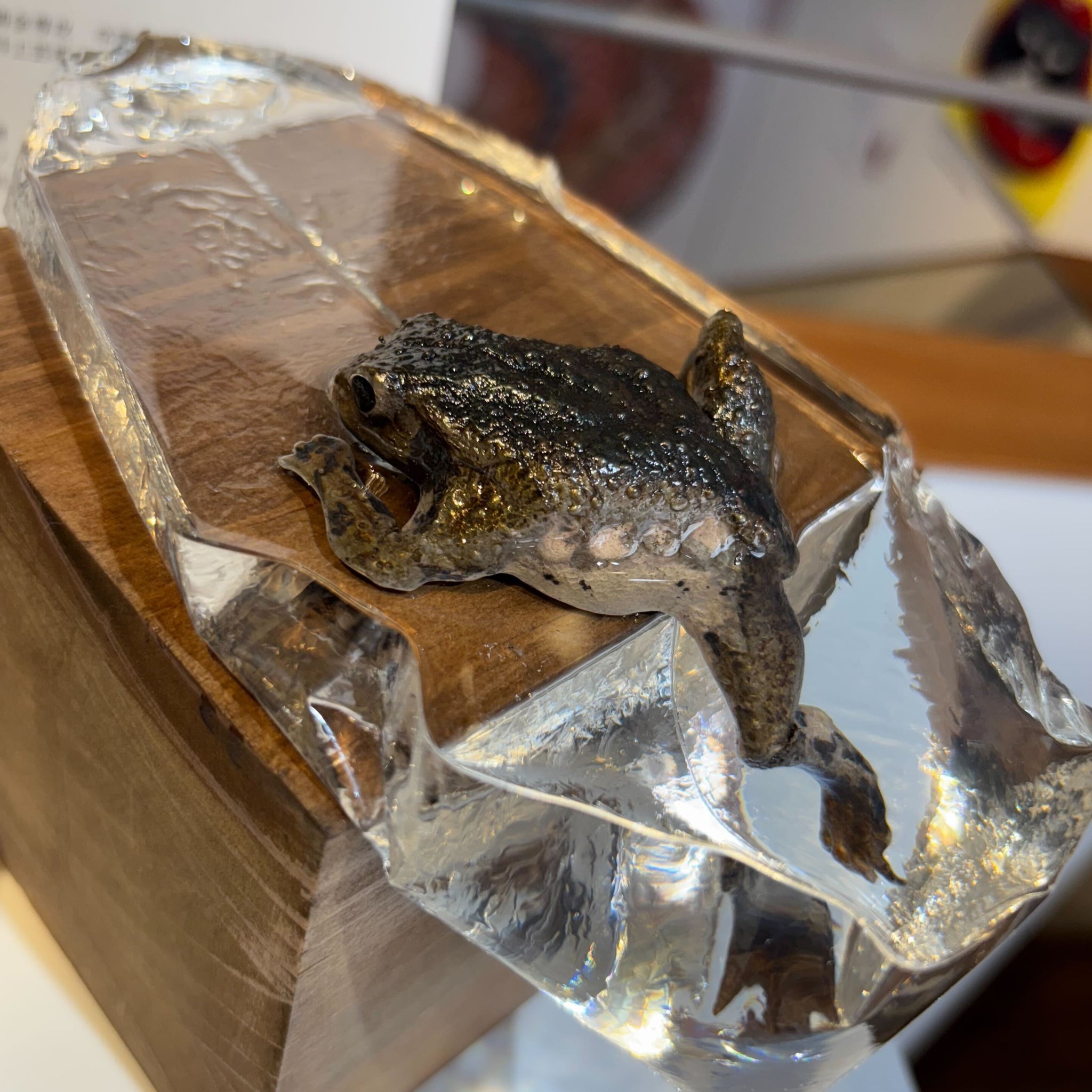 河﨑海斗 画狂乃蛙 – ガラリ 北斎館 Garari Hokusai Museum