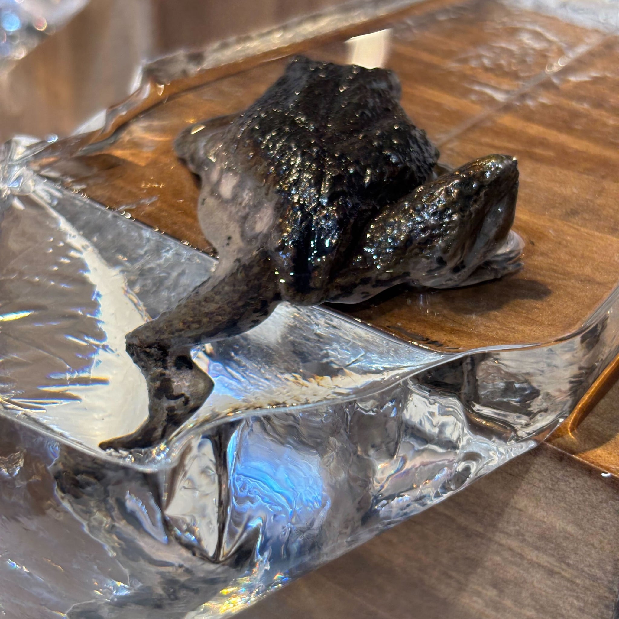 河﨑海斗 画狂乃蛙 – ガラリ 北斎館 Garari Hokusai Museum